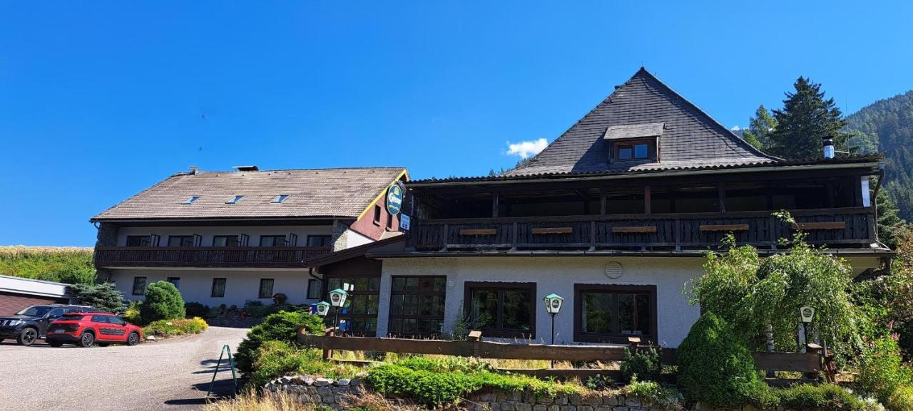 Draxlerhaus Hotell Hohentauern Eksteriør bilde